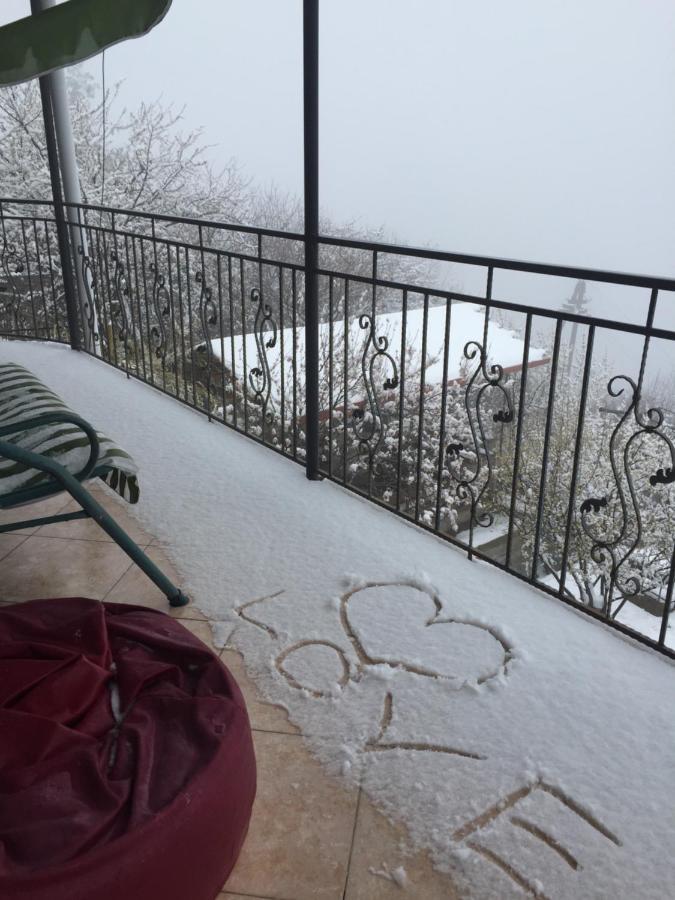 Zurabashvili Guest House Sighnaghi Exterior foto
